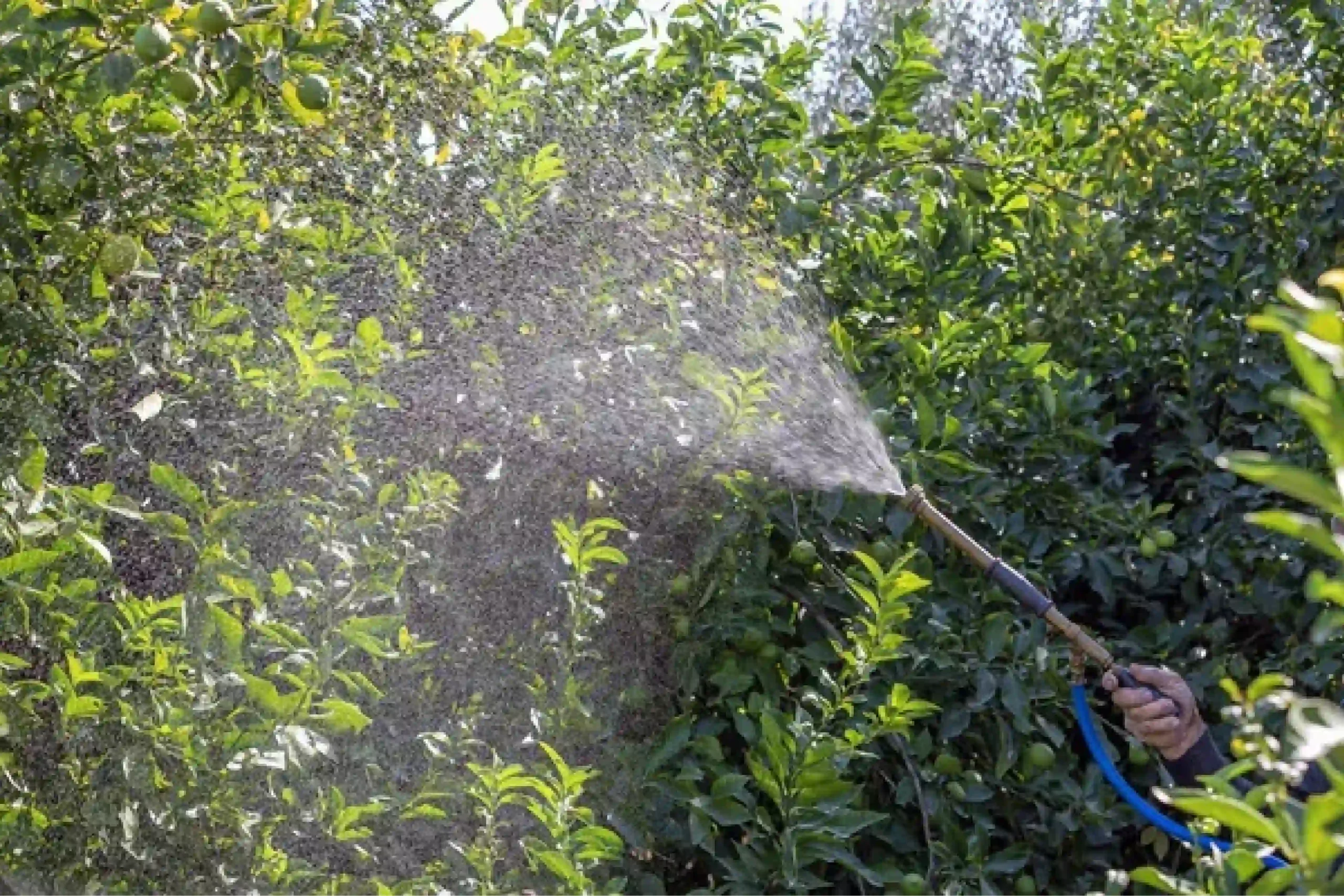 Our mission is to provide effective and reliable tick and mosquito control services in Suffolk County.