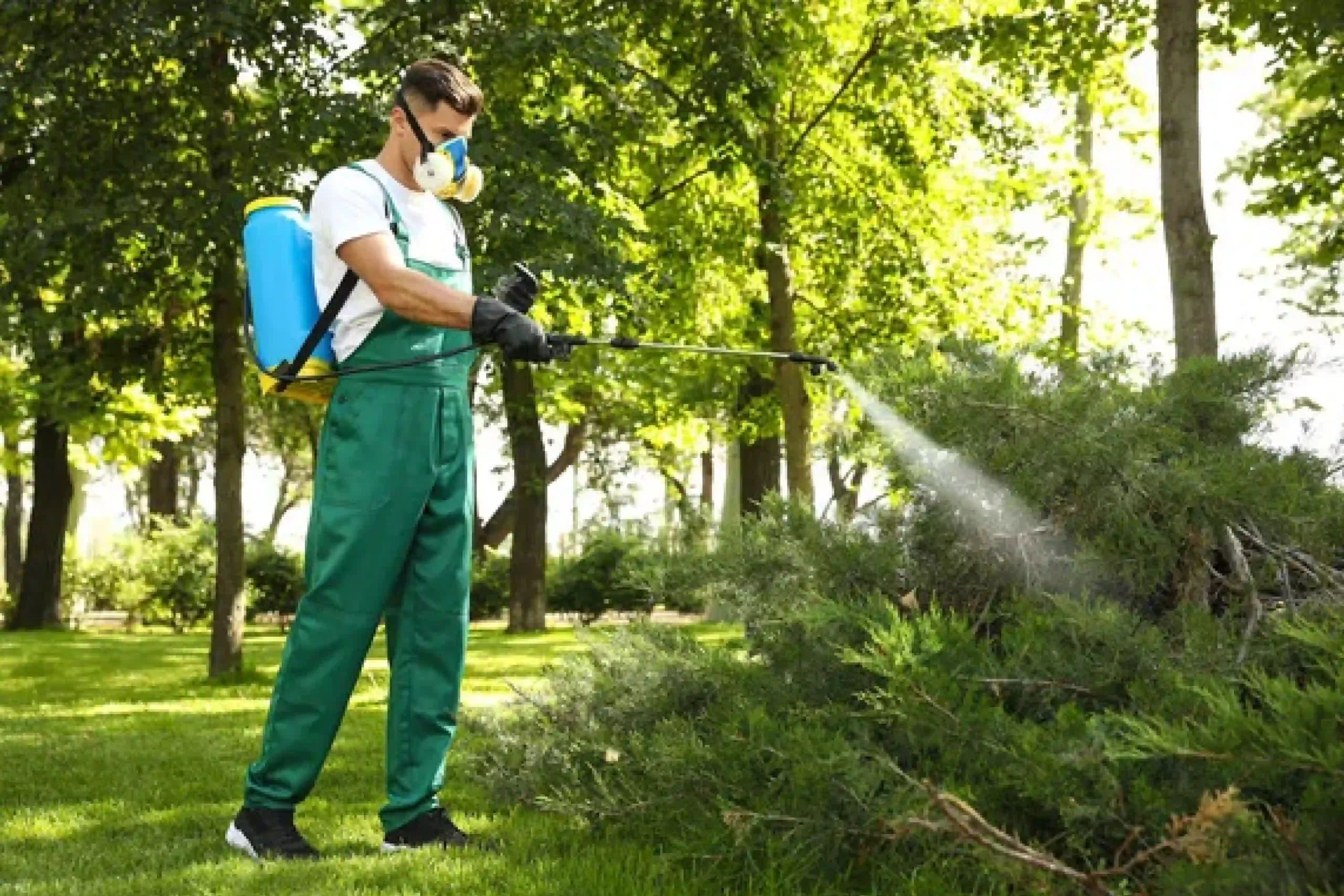 Professional tick and mosquito spraying services to protect your home and business in Suffolk County.